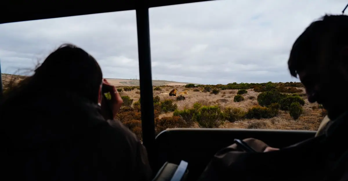 Excursions Animalières Écologiques : Voyager Responsable