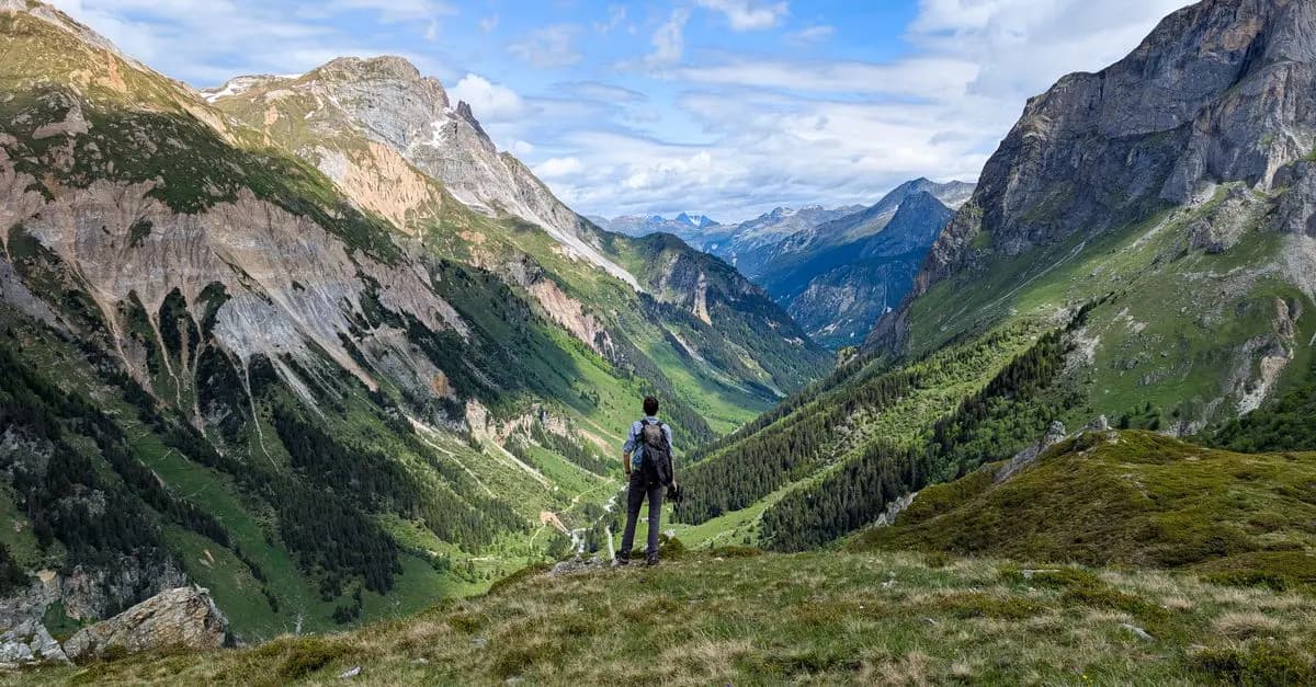 Les Meilleures Excursions Animalières à Faire en France