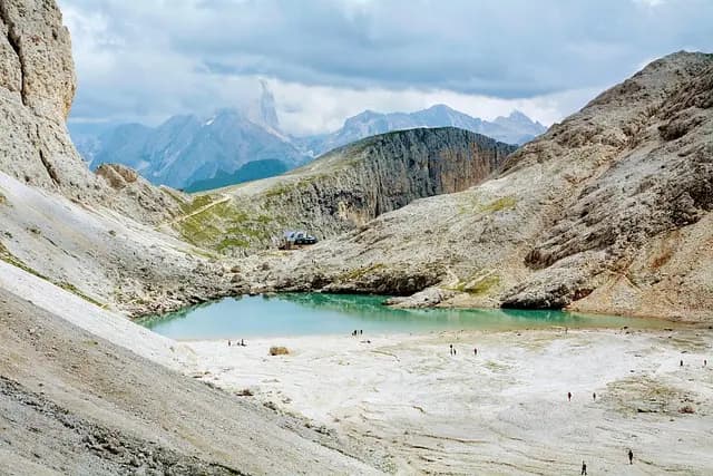 Les Meilleures Destinations pour Partir en Excursion Animalière