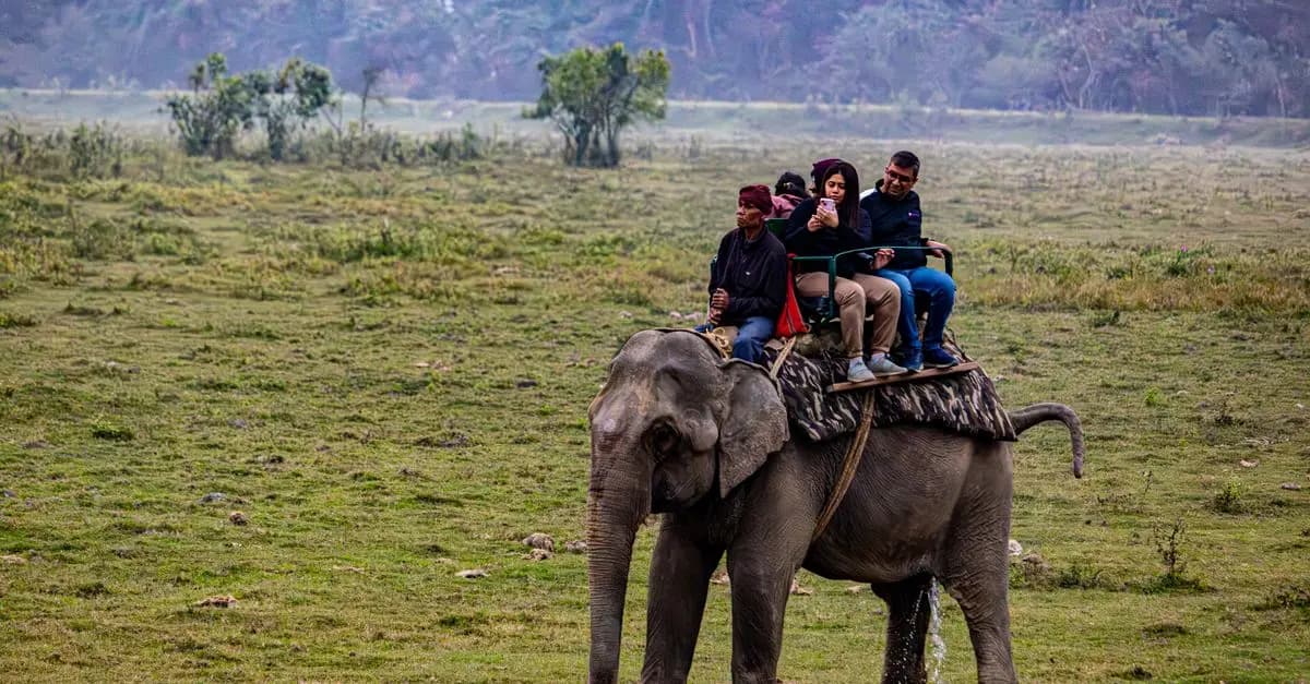Tendances des Excursions Animalières à Suivre en 2026