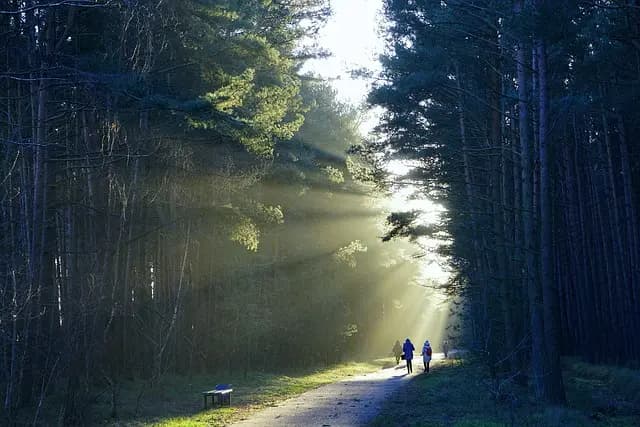 Les Meilleurs Outils pour Observer la Faune en Excursion
