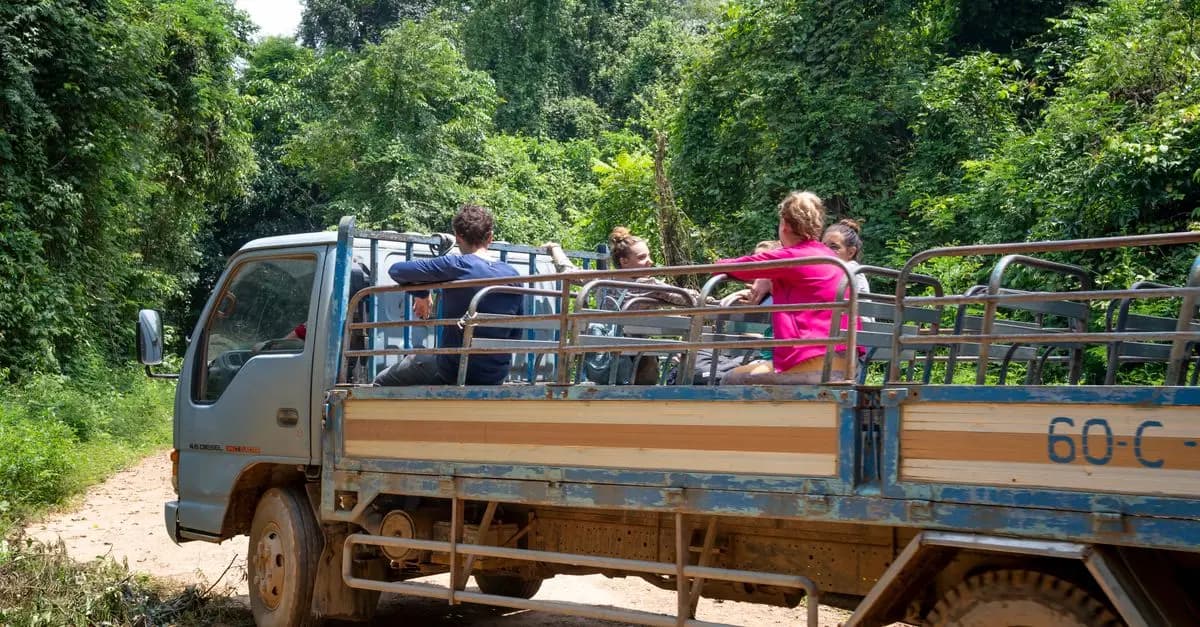 Quoi de Neuf dans les Excursions Animalières en 2026 ?