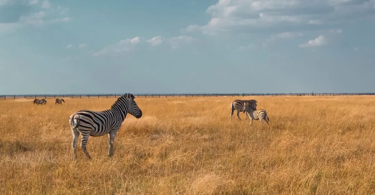Comment Choisir son Excursion Animalière en Famille