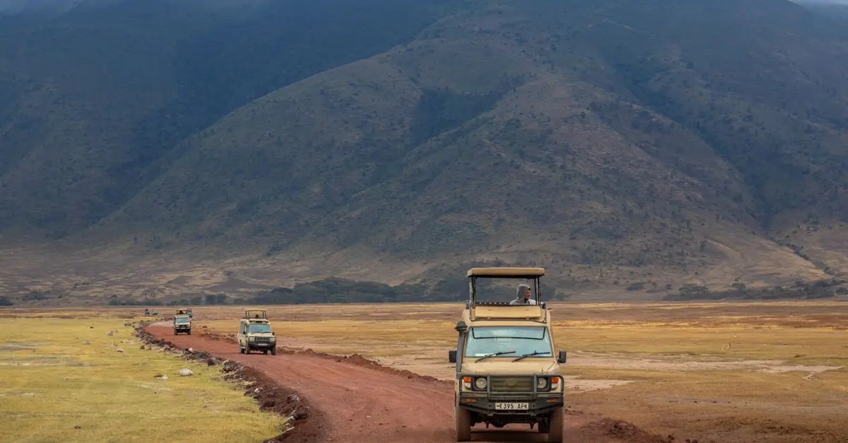 Comparatif des Meilleurs Safaris en 2026