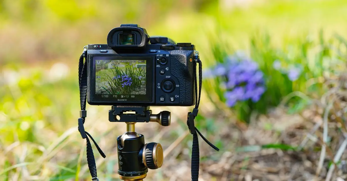 10 Astuces pour Photographier la Faune Sauvage